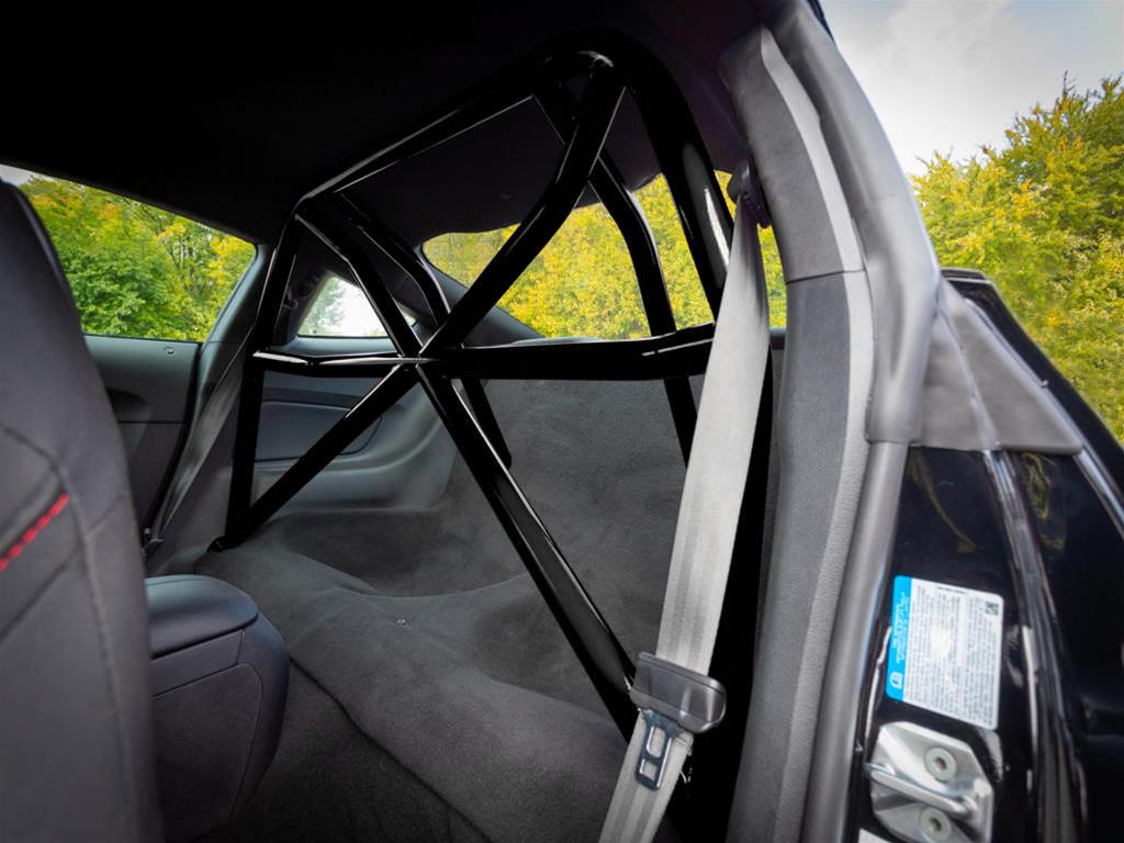 Fathouse Performance FAB 4-Point Bolt-in Roll Bars FP-S550-RB-RAW