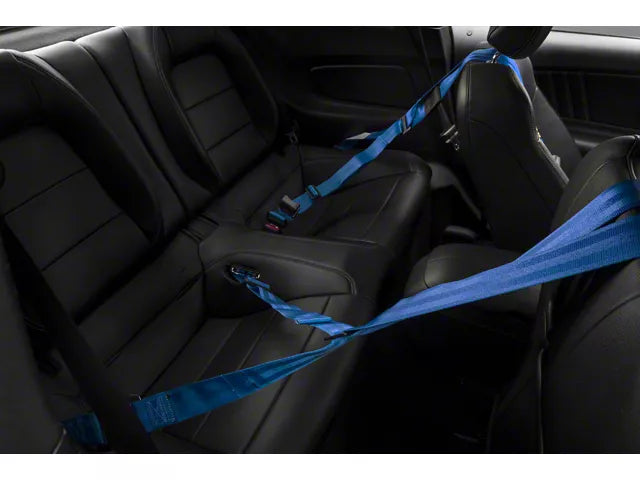 Schroth QuickFit Harness