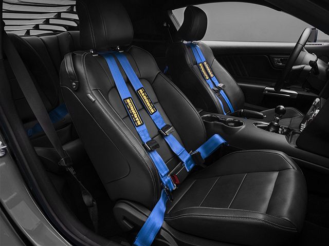Schroth QuickFit Harness