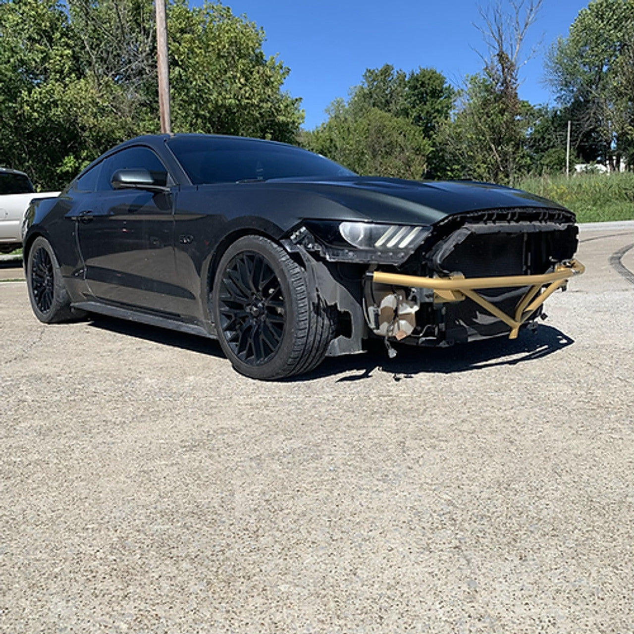 15-17 Mustang (S550) Front Bash Bar